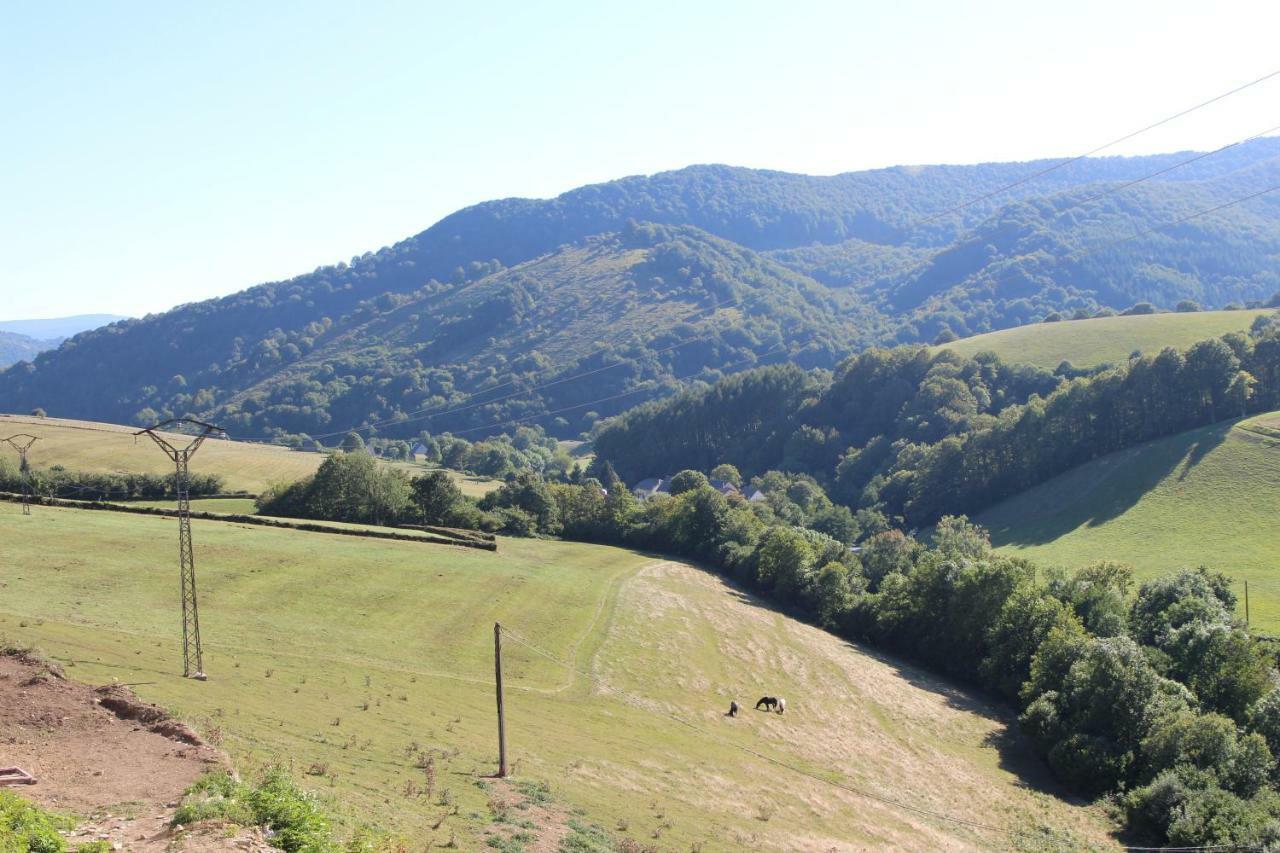 Zabalarena Artzaia *