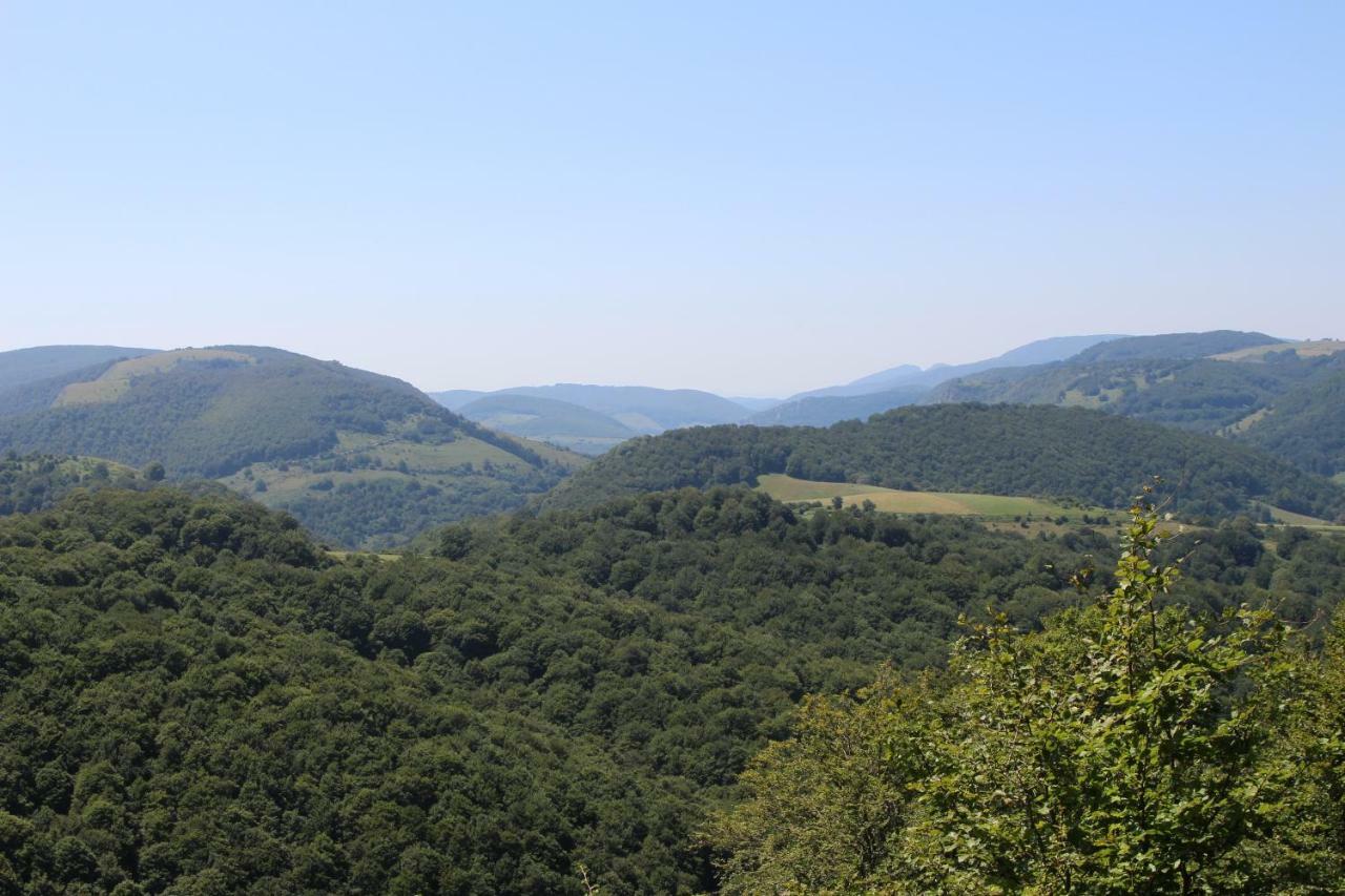 Appartement Zabalarena Artzaia Orbaiceta
